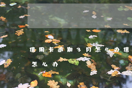 信用卡逾期3月怎么办(信用卡3万逾期半年怎么办)