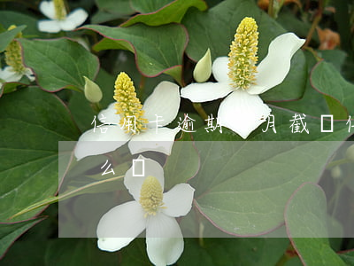 信用卡逾期3月截圖(信用卡逾期3月截圖怎么辦)
