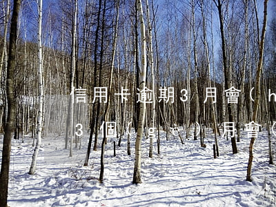 信用卡逾期3月會(huì)上征信嗎(逾期3個(gè)月會(huì)不會(huì)上征信)