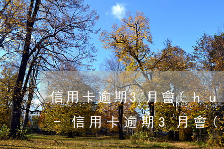 信用卡逾期3月會(huì)有不良記錄嗎-信用卡逾期3月會(huì)有不良記錄嗎怎么辦