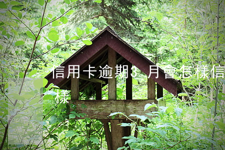 信用卡逾期3月會怎樣(信用卡逾期3月會怎樣)
