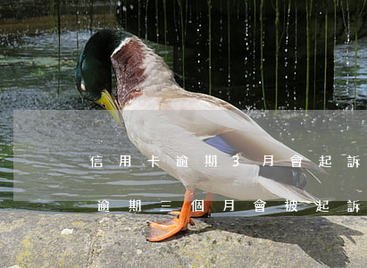 信用卡逾期3月會起訴么(一萬元以下信用卡逾期三個月會被起訴嗎)
