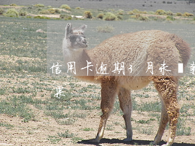 信用卡逾期3月未還款(三個月信用卡逾期后果)