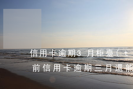 信用卡逾期3月柜臺(tái)還款嗎(我之前信用卡逾期三月還能申請嗎)
