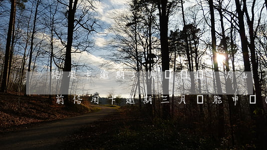 信用卡逾期3月沒還會(huì)怎樣(我之前信用卡逾期三月還能申請(qǐng)嗎)