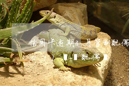 信用卡逾期3月管制配偶(信用卡逾期會(huì)連帶配偶嗎)
