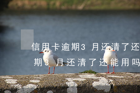信用卡逾期3月还清了还能用吗-信用卡逾期3月还清了还能用吗怎么办