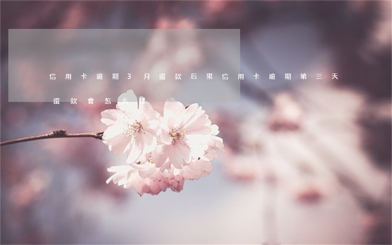 信用卡逾期3月還款后果(信用卡逾期第三天還款會怎么樣)