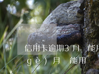 信用卡逾期3月還能用嗎(信用卡逾期3個(gè)月還能用嗎)