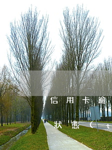 信用卡逾期3期多少天-信用卡3個月逾期狀態(tài)
