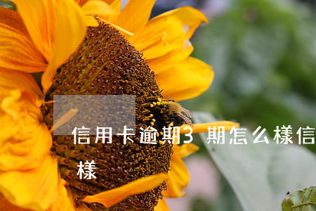 信用卡逾期3期怎么樣(信用卡逾期3期怎么樣)