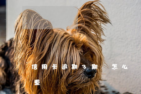信用卡逾期3期會怎么樣(信用卡逾期三月嚴重嗎)