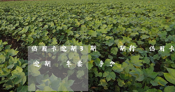 信用卡逾期3期還兩期行嗎(信用卡3000逾期兩年要還多少)