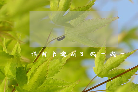 信用卡逾期3次一次一個月