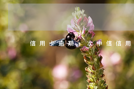 信用卡逾期3次中信(信用卡幾天算逾期)
