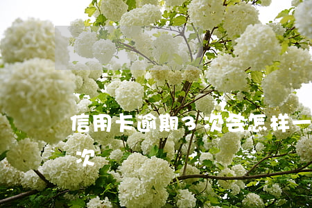 信用卡逾期3次会怎样(一年内信用卡逾期三次)