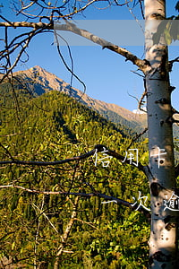 信用卡逾期3次利率上調(diào)多少(一次逾期利率上調(diào)多少)
