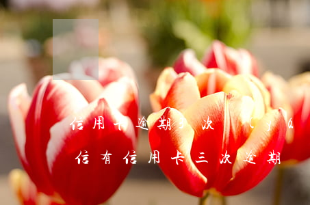 信用卡逾期3次嚴(yán)重嗎怎么辦 征信有信用卡三次逾期
