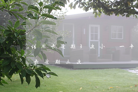 信用卡逾期3次小額(一年內(nèi)信用卡逾期三次)