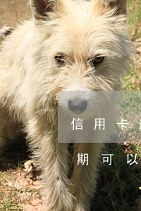 信用卡逾期3次影响房贷(信用卡连续三次逾期可以办房贷吗)