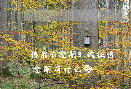 信用卡逾期3次征信問題(征信有兩次信用卡逾期有什么影響)