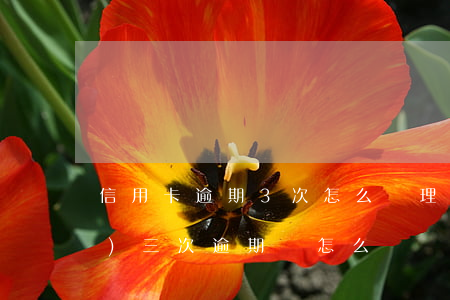 信用卡逾期3次怎么處理(信用卡連續(xù)三次逾期會怎么樣)