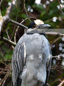 信用卡逾期3次會上征信嗎