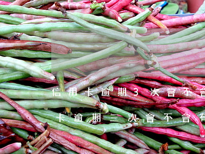 信用卡逾期3次會不會影響征信(不同的信用卡逾期三次會不會有影響)