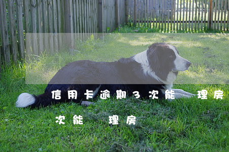信用卡逾期3次能辦理房貸嗎(信用卡逾期3次能辦理房貸嗎)