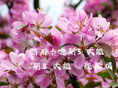 信用卡逾期3次能辦理按揭貸款-信用卡逾期3次能辦理按揭貸款嗎