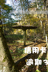 信用卡逾期3次辦理組合貸款可以嗎（信用卡逾期3次辦理組合貸）