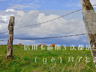 信用卡逾期3次都是5天(5張信用卡逾期3個(gè)月了怎么辦)