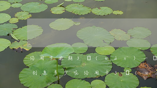 信用卡逾期3萬(wàn)一個(gè)月利息多少呢(信用卡3萬(wàn)逾期會(huì)坐牢嗎)
