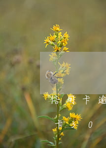 信用卡逾期3萬(wàn)有什么后果(信用卡3000逾期三個(gè)月會(huì)有什么后果)