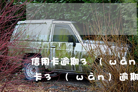 信用卡逾期3萬(wàn)的后果-欠信用卡3萬(wàn)逾期