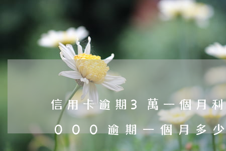 信用卡逾期3萬一個月利息有多少(信用卡3000逾期一個月多少錢)