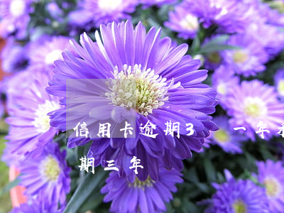 信用卡逾期3萬一年利息-欠信用卡3萬逾期三年