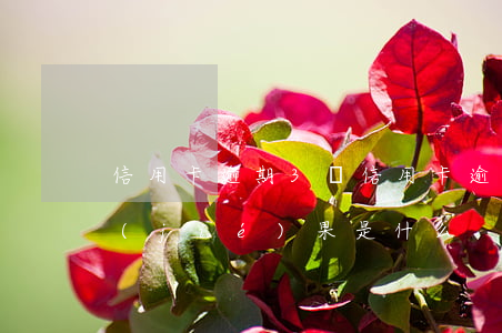 信用卡逾期3萬(信用卡逾期3萬塊錢最后結(jié)果是什么)