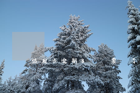 信用卡逾期3萬傳票來了