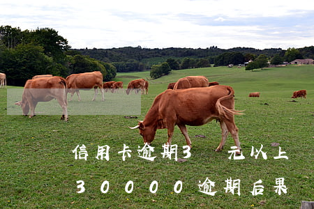 信用卡逾期3萬元以上會被立案嗎-信用卡30000逾期后果