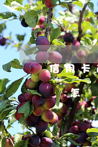 信用卡逾期3萬多會怎樣 信用卡逾期3萬多會怎樣判決