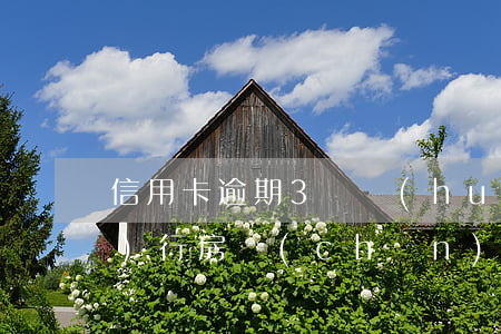信用卡逾期3萬會(huì)被執(zhí)行房產(chǎn)嗎-欠信用卡3萬逾期一年多了會(huì)不會(huì)坐牢