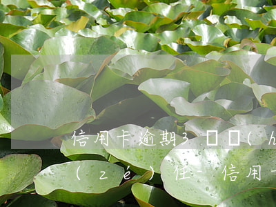 信用卡逾期3萬會(huì)被追究刑事責(zé)任-信用卡逾期3萬會(huì)被追究刑事責(zé)任嗎