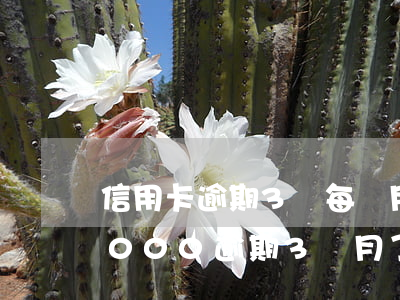 信用卡逾期3萬每個月還200(信用卡20000逾期3個月了)