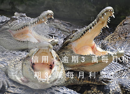 信用卡逾期3萬每月利息怎么算-信用卡逾期3萬每月利息怎么算的