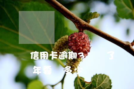 信用卡逾期3萬還了兩萬(信用卡2萬逾期3年要還多少)
