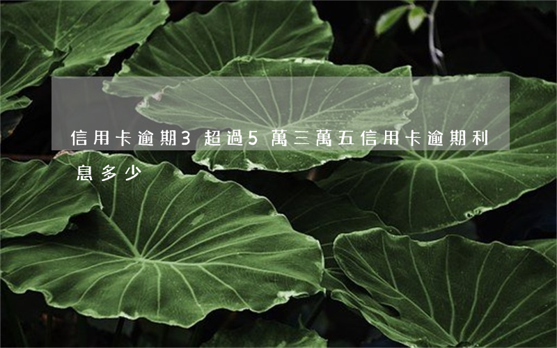 信用卡逾期3超過5萬 三萬五信用卡逾期利息多少