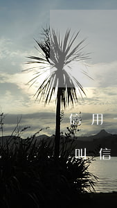 信用卡逾期3還款后果嚴(yán)重(什么叫信用卡逾期三次)