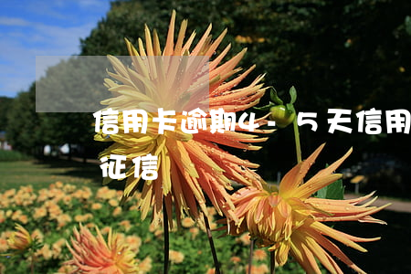 信用卡逾期4-5天 信用卡逾期45天會上征信嗎