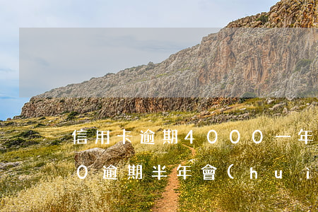 信用卡逾期4000一年不還(信用卡4000逾期半年會(huì)怎么樣)